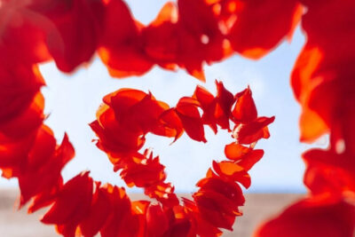 7 diferencias entre hacer el amor y tener sexo