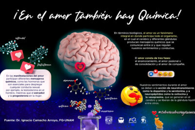 que es la quimica sexual